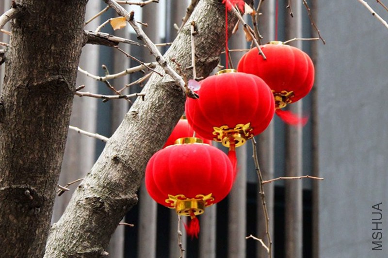 psb (1331)_����.jpg