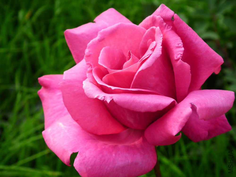 DSCF0101.JPG