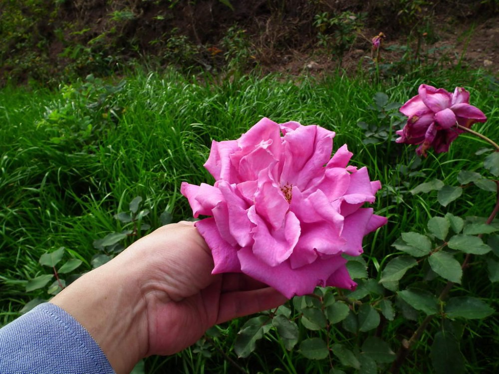 DSCF0099.JPG