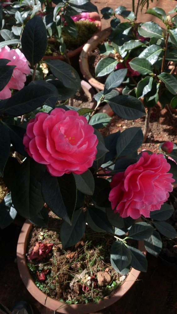 DSC_5362.jpg