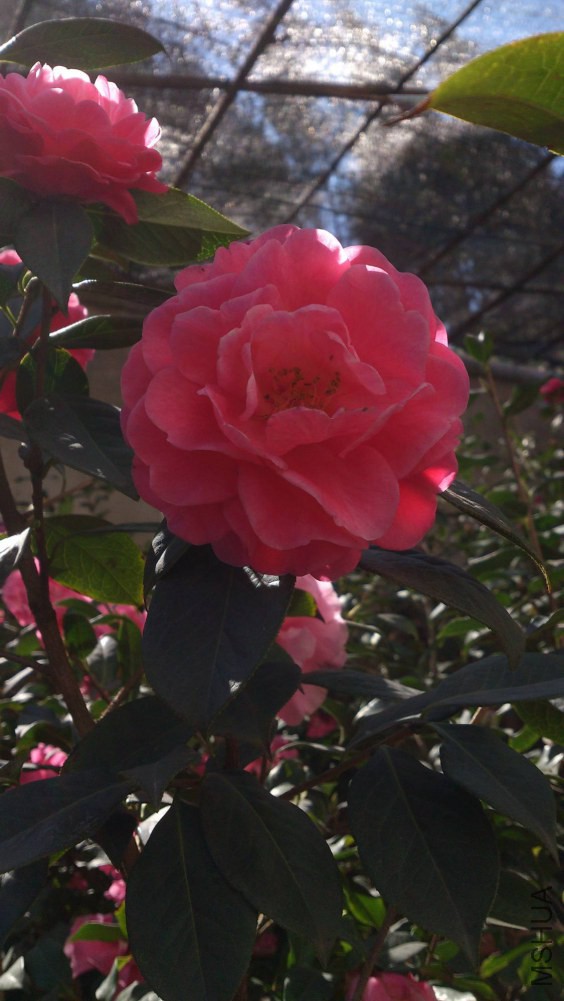 DSC_5363.jpg