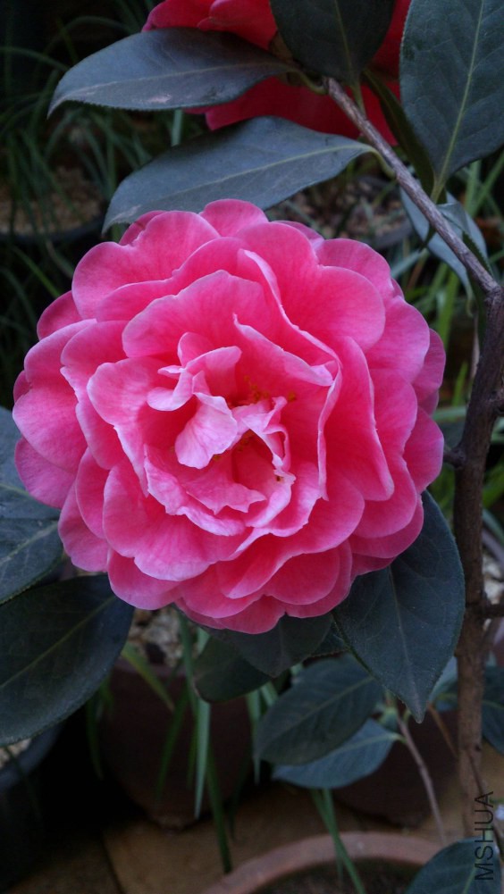 DSC_5380.jpg