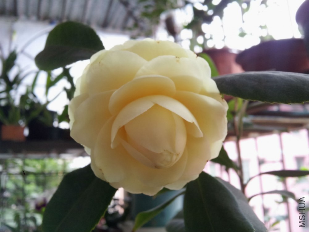20150224_094931.jpg