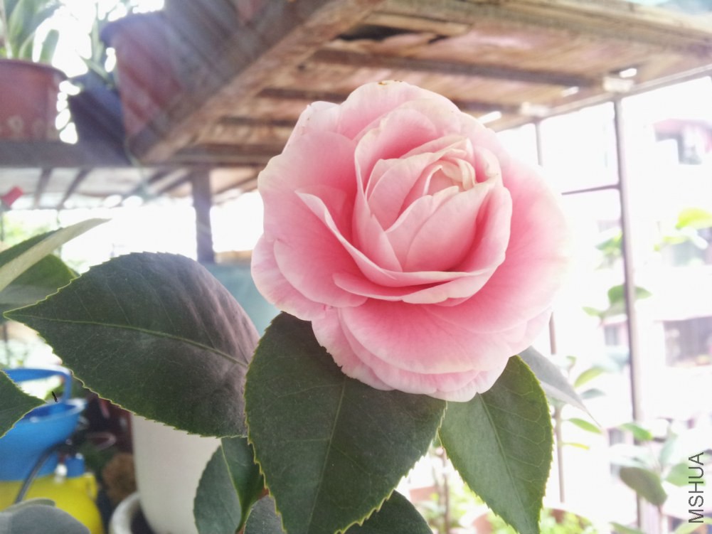 20150220_105215.jpg