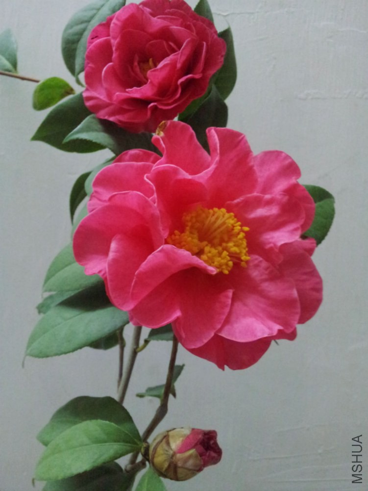 20150221_232337.jpg