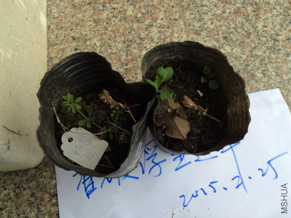 QQͼƬ20150225175644.jpg
