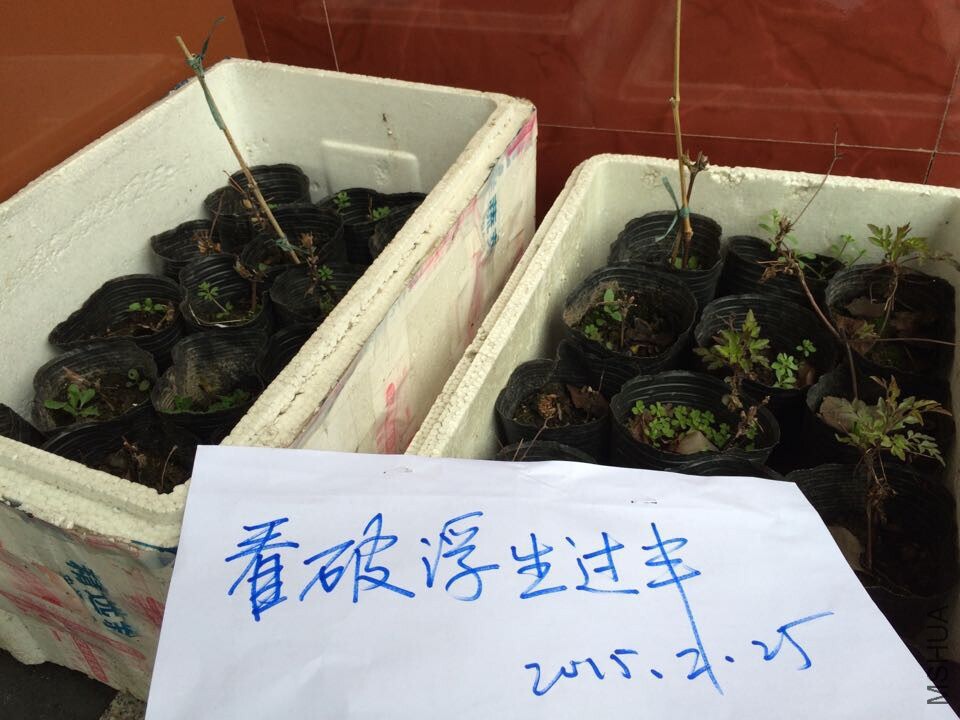 QQͼƬ20150225175703.jpg