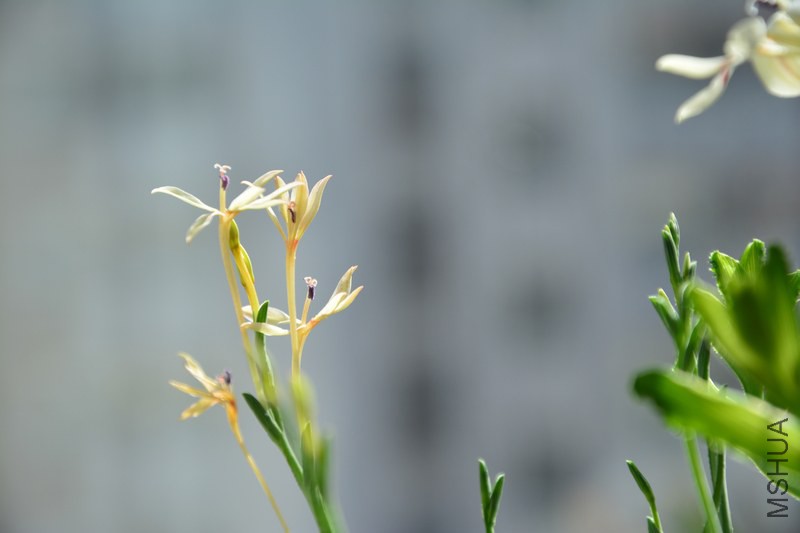 DSC_1225.jpg