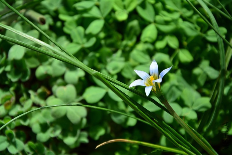 DSC_1230.jpg
