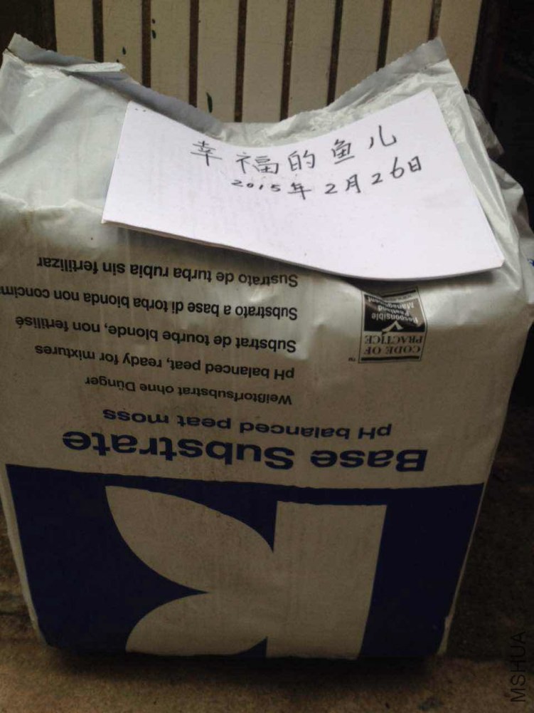 414����.jpg