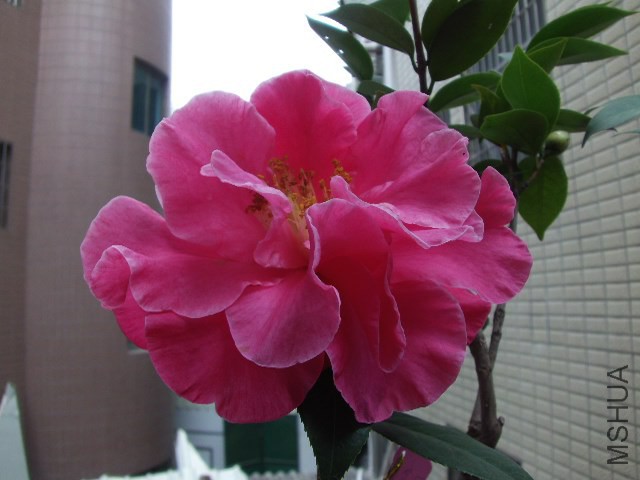 GEDC0518.JPG
