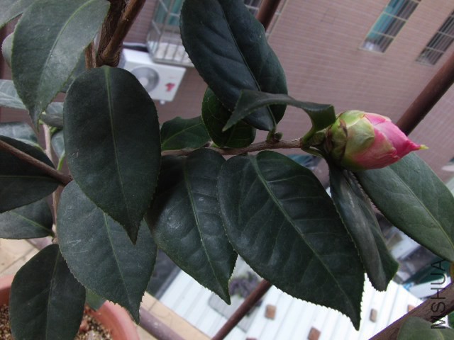 GEDC0984.JPG