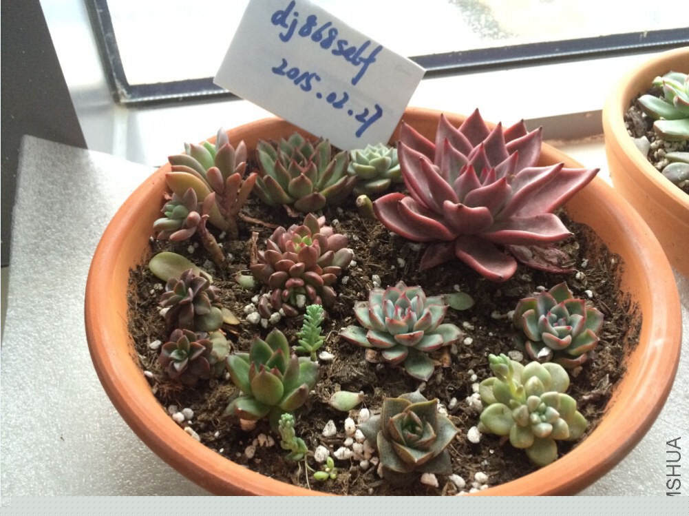 QQ��ͼ20150227125846.jpg