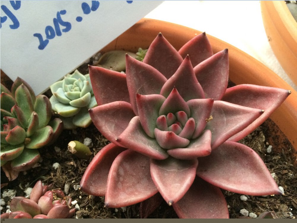 QQ��ͼ20150227125859.jpg