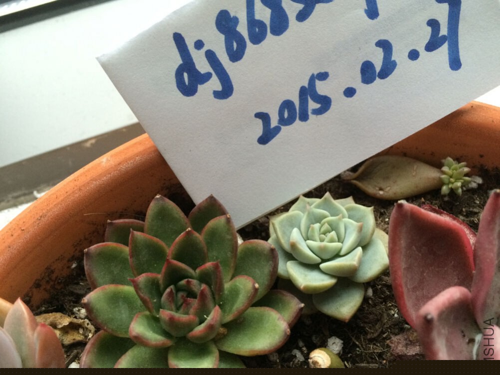 QQ��ͼ20150227125912.jpg