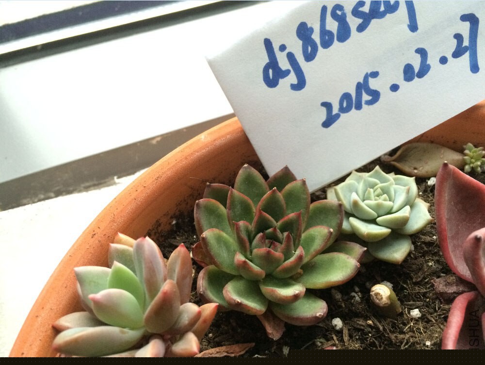 QQ��ͼ20150227125924.jpg