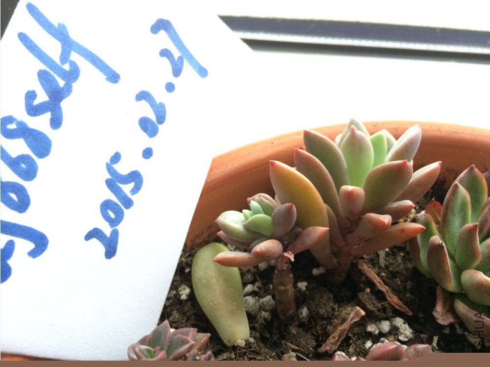 QQ��ͼ20150227125938.jpg
