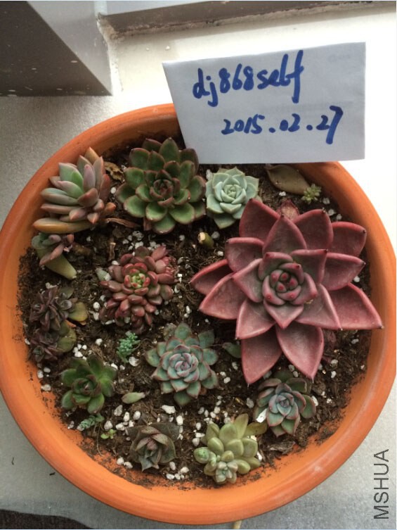 QQ��ͼ20150227130357.jpg