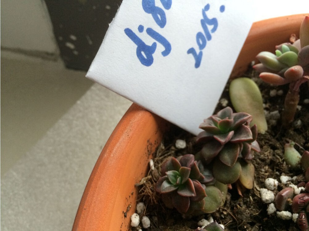 QQ��ͼ20150227125952.jpg