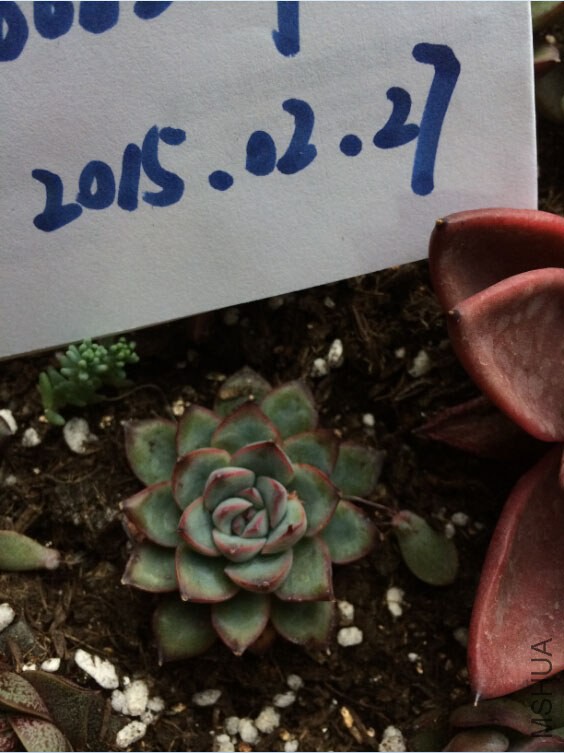 QQ��ͼ20150227130026.jpg