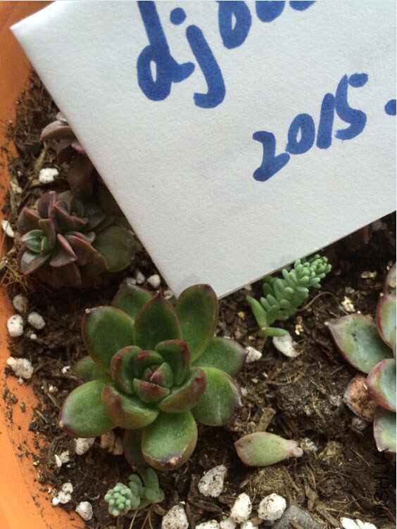 QQ��ͼ20150227130040.jpg