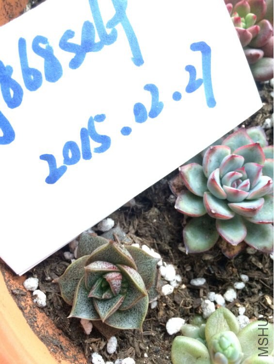 QQ��ͼ20150227130054.jpg