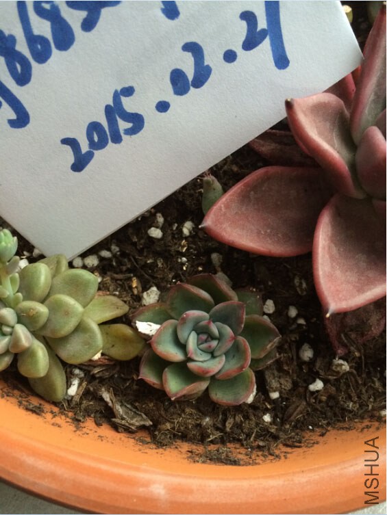 QQ��ͼ20150227130106.jpg