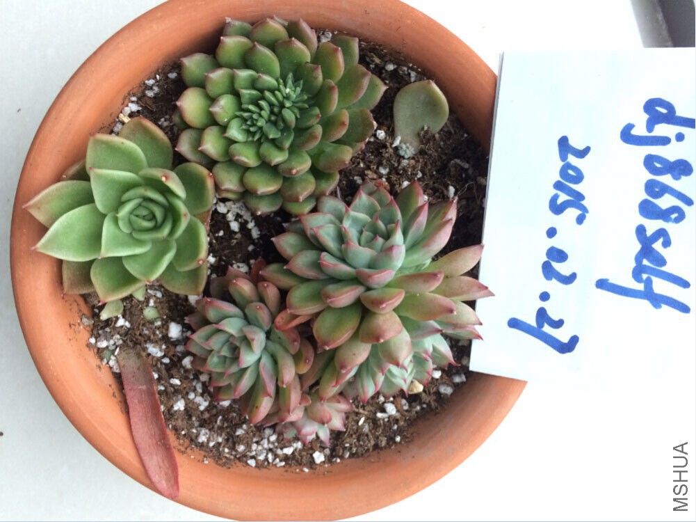 QQ��ͼ20150227125630.jpg