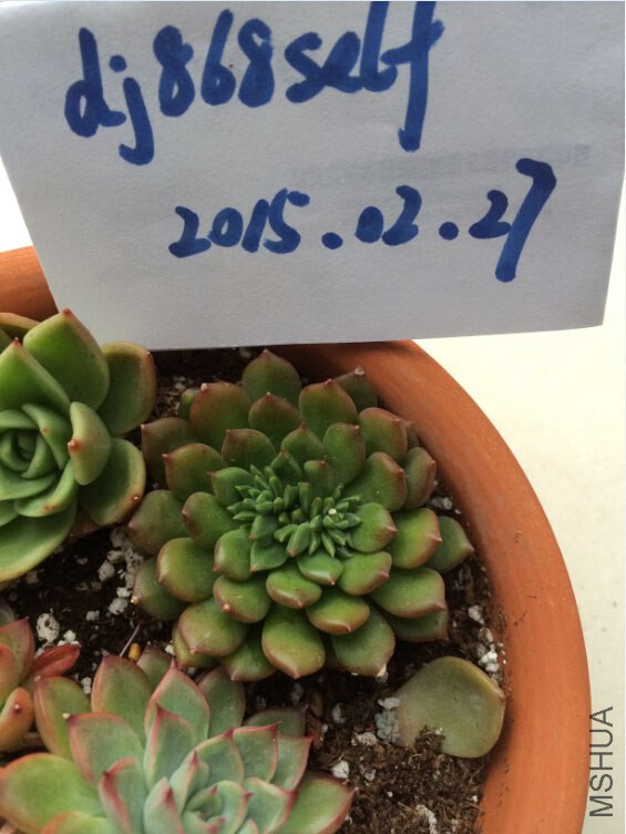 QQ��ͼ20150227125711.jpg
