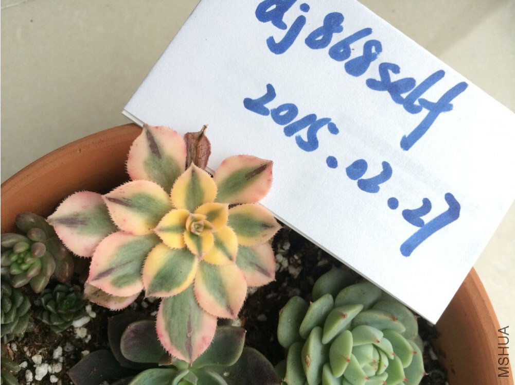 QQ��ͼ20150227125743.jpg