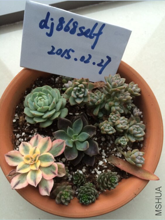 QQ��ͼ20150227125727.jpg