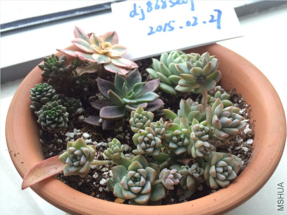 QQ��ͼ20150227125816.jpg