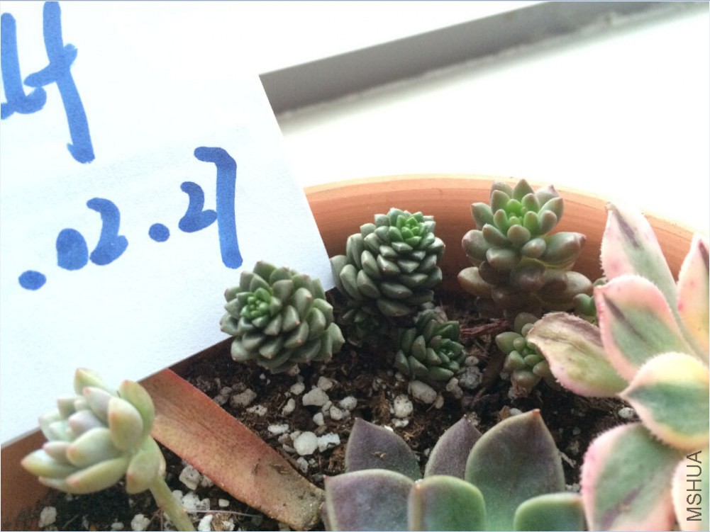 QQ��ͼ20150227125829.jpg