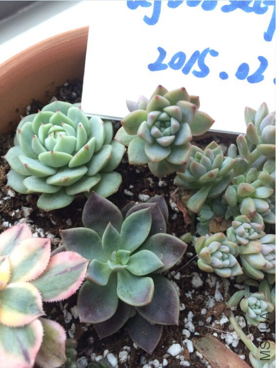 QQ��ͼ20150227125805.jpg