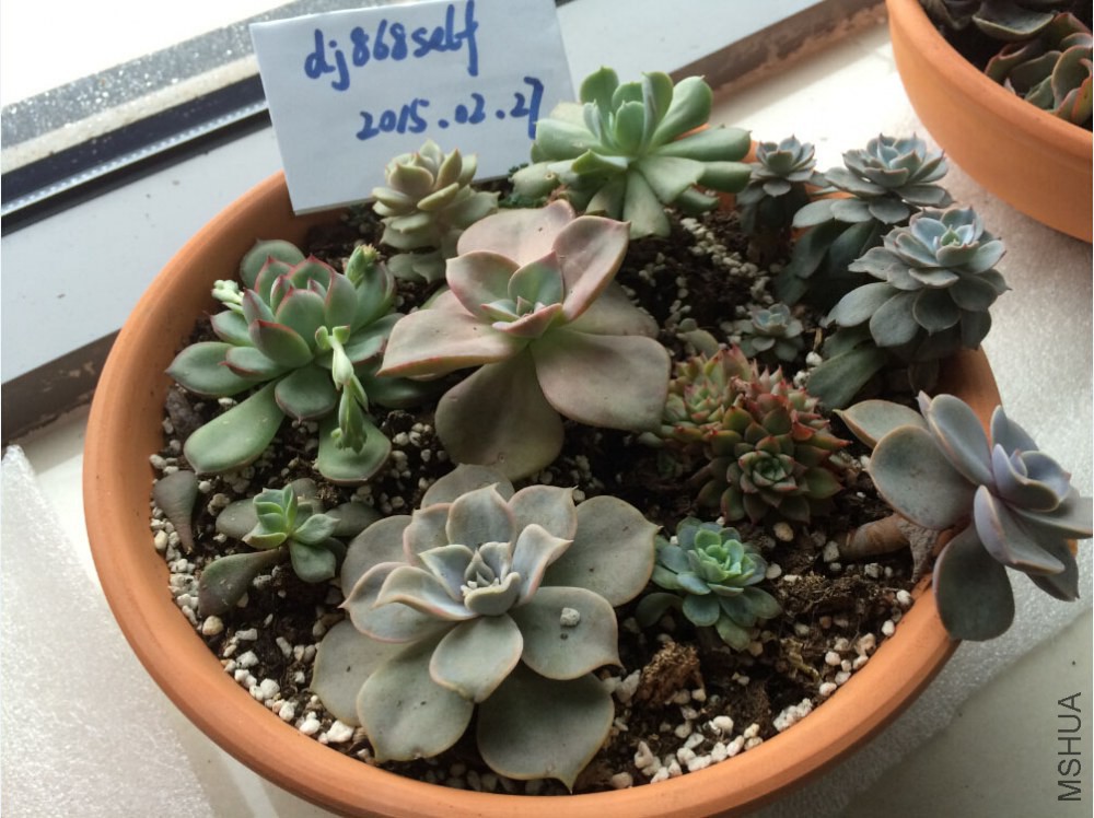 QQ��ͼ20150227130119.jpg