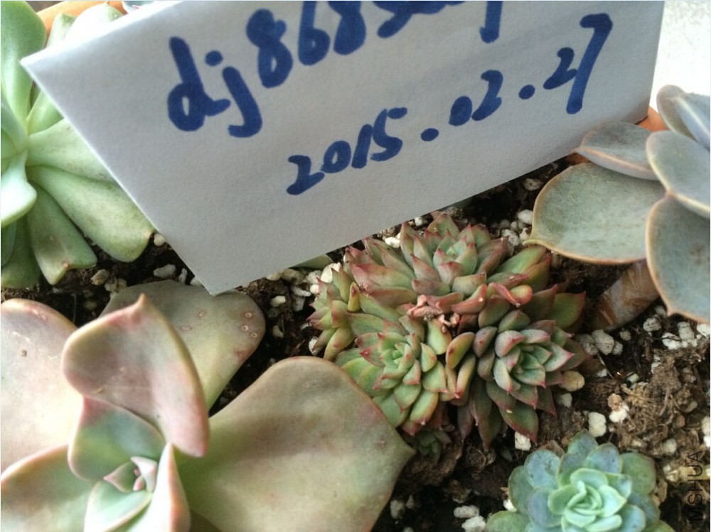 QQ��ͼ20150227130237.jpg