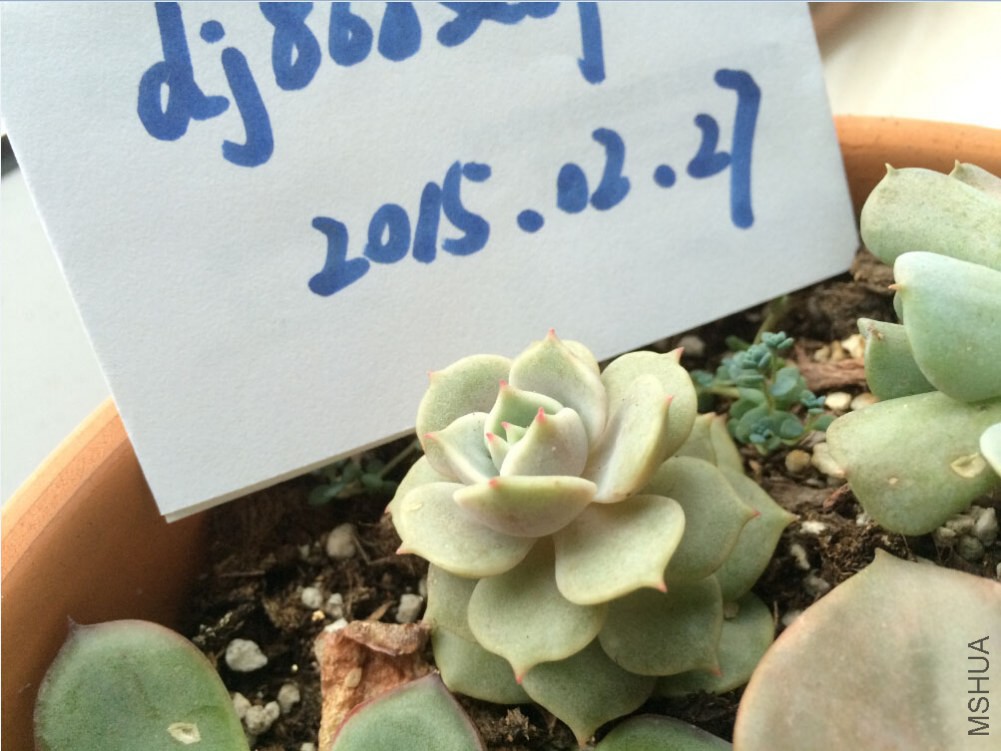 QQ��ͼ20150227130131.jpg