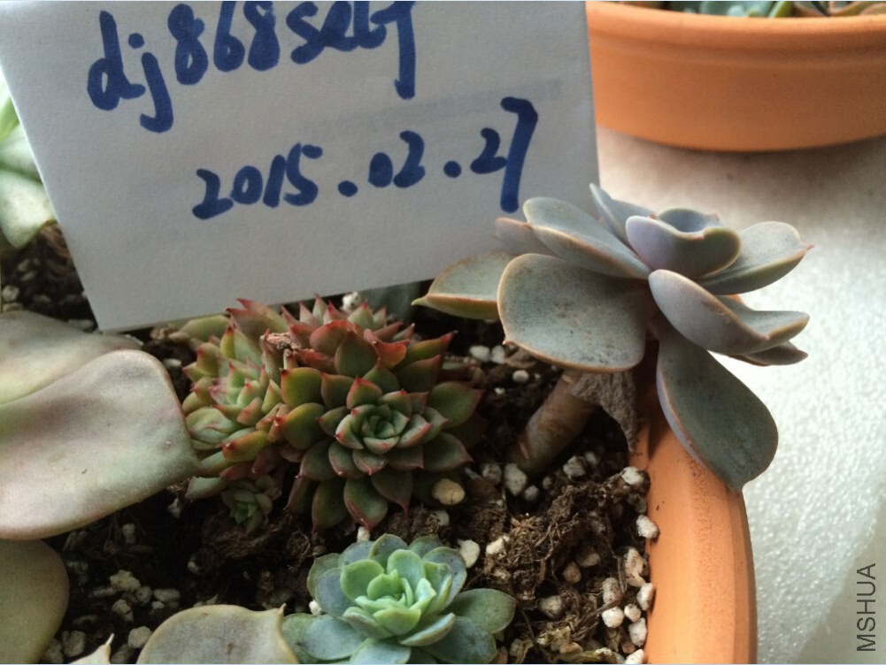 QQ��ͼ20150227130223.jpg
