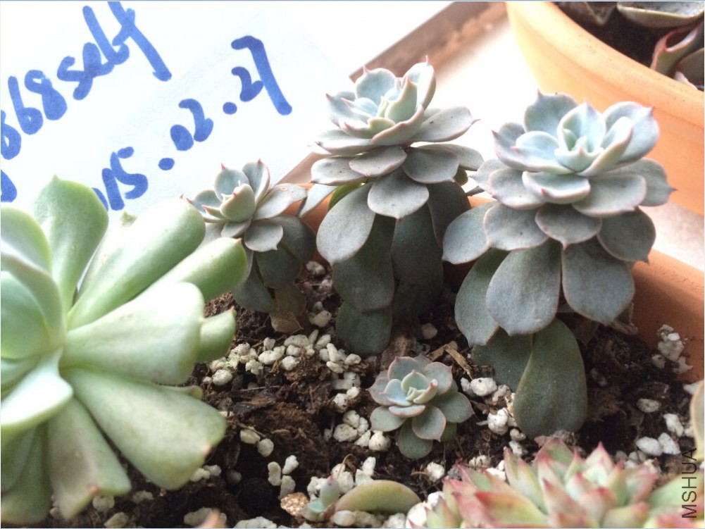 QQ��ͼ20150227130205.jpg