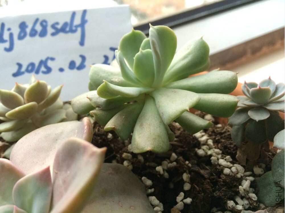 QQ��ͼ20150227130149.jpg