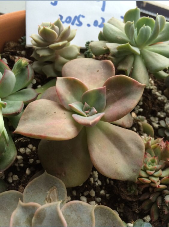 QQ��ͼ20150227130318.jpg