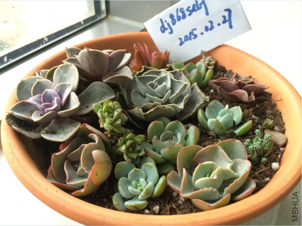 QQ��ͼ20150227130410.jpg