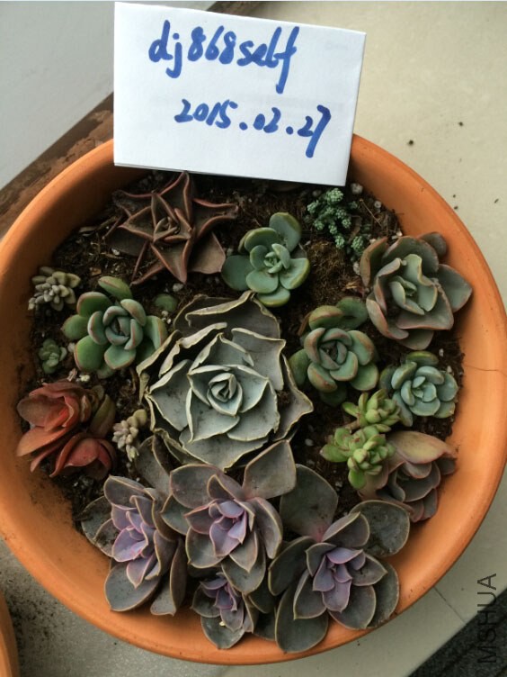 QQ��ͼ20150227130620.jpg