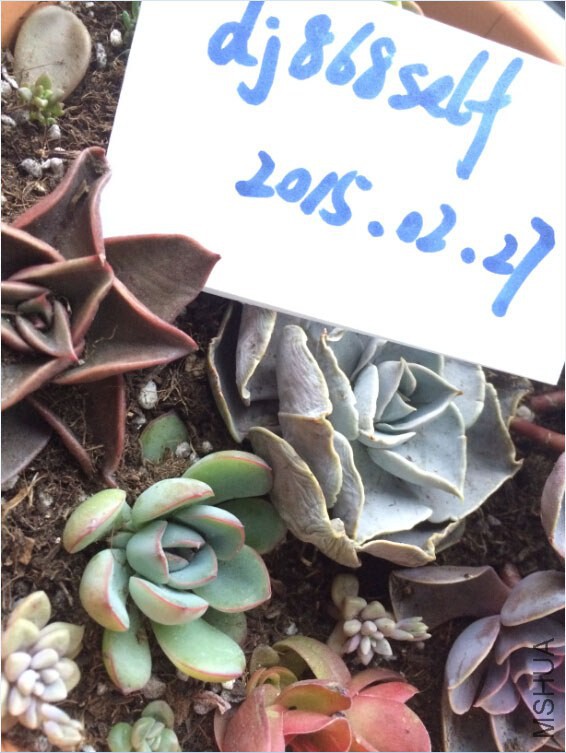 QQ��ͼ20150227130552.jpg