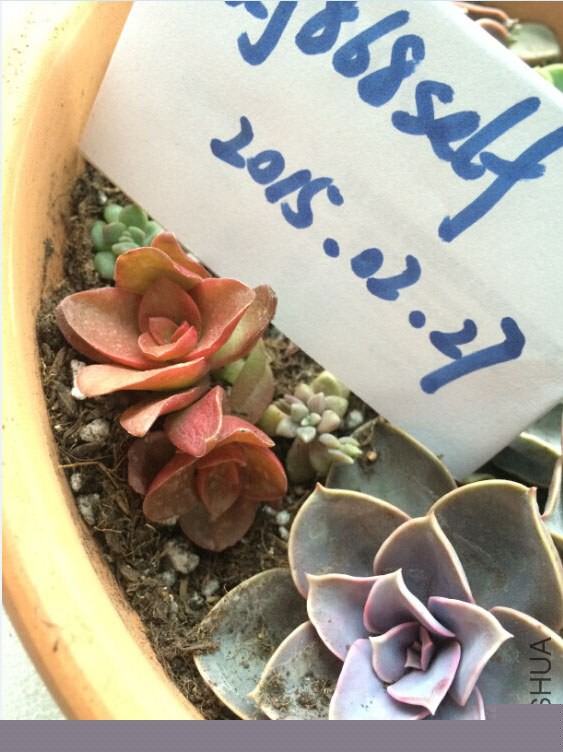 QQ��ͼ20150227133916.jpg