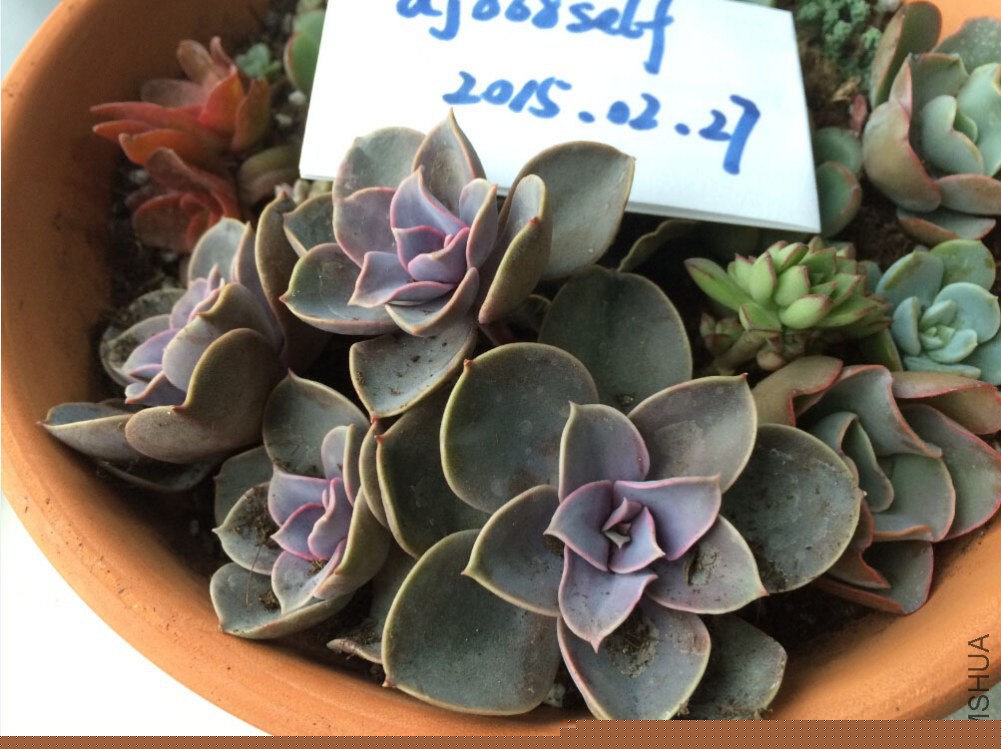 QQ��ͼ20150227130424.jpg