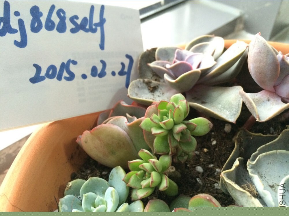 QQ��ͼ20150227130453.jpg