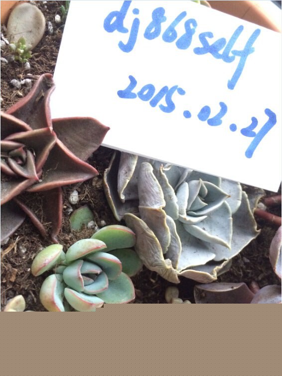 QQ��ͼ20150227130552.jpg