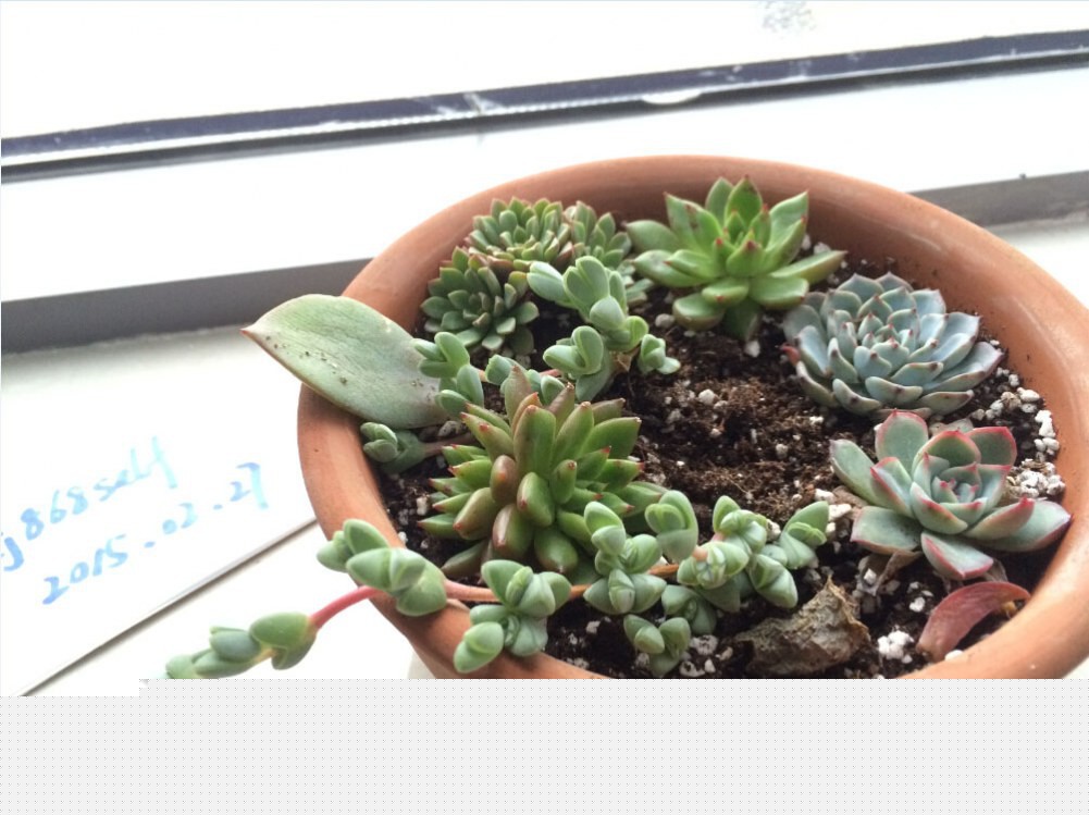 QQ��ͼ20150227130818.jpg