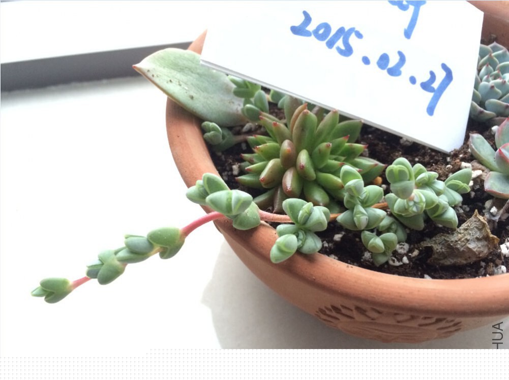 QQ��ͼ20150227130646.jpg